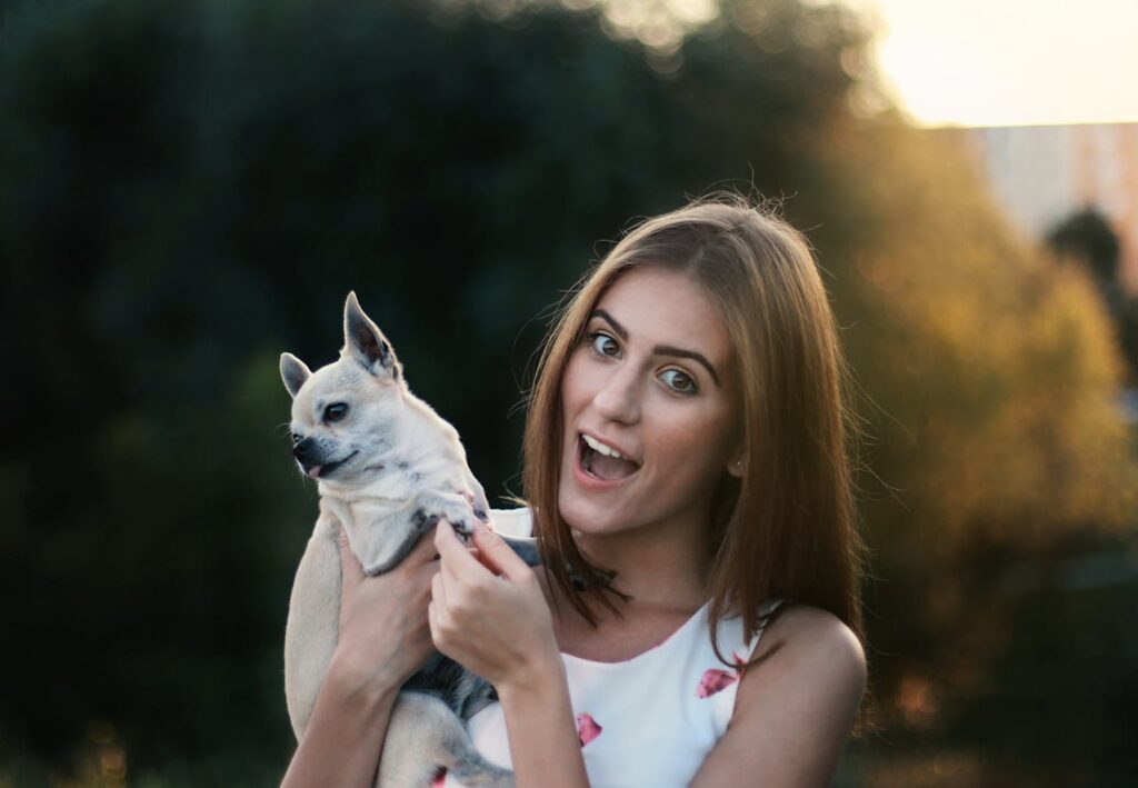 seguros de animales