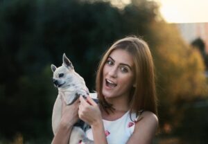 seguros de animales